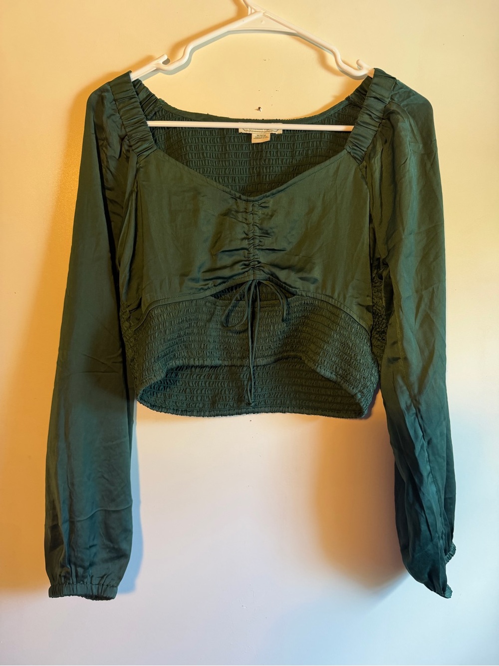 American Eagle Outfitters Dark Green Smocked Long-Sleeve Crop Top